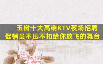 玉树十大高端KTV夜场招聘促销员不压不扣给你放飞的舞台